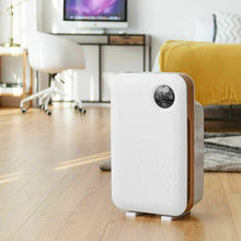 Load image into Gallery viewer, Air Purifier with True HEPA Activated Carbon Filter
