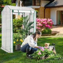 Load image into Gallery viewer, Walk-in Garden Greenhouse Warm House for Plant Growing
