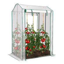 Load image into Gallery viewer, Walk-in Garden Greenhouse Warm House for Plant Growing