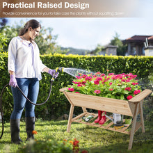 Load image into Gallery viewer, Raised Wood Garden Bed with Shelf and Liner