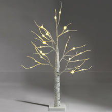 Load image into Gallery viewer, 2 Feet Pre-lit White Twig Birch Tree Battery Powered for Christmas Holiday