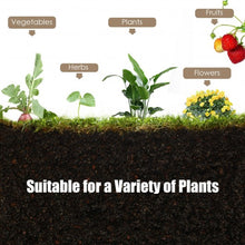 Load image into Gallery viewer, Raised Garden Bed Elevated Planter Box Wood for Vegetable Flower Herb