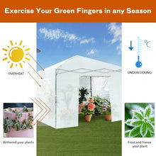 Load image into Gallery viewer, Greenhouse Outdoor Mini Walk-in Plant Portable Garden Greenhouse-White