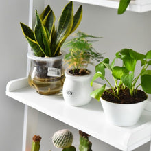 Load image into Gallery viewer, 5-Tier Leaning Wall Display Bookcase-White