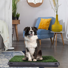 Load image into Gallery viewer, 25" x 20" Puppy Potty Training Toilet Turf Mat
