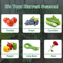 Load image into Gallery viewer, 16" x 16" x 39" 4 Pack Garden Plant Trellis