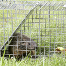 Load image into Gallery viewer, 36" x 50' 1/2 inch Wire Fence Cage Roll 19 Gauge Galvanized Wire