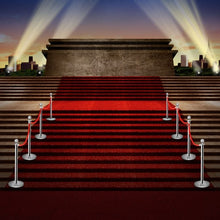 Load image into Gallery viewer, 6 pcs Stanchion Posts Queue Pole