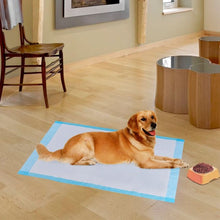 Load image into Gallery viewer, 300 pcs 17" x 24" Pet Wee Pee Piddle Pad