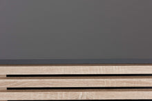 Load image into Gallery viewer, Baxton Studio Eckhart Modern and Contemporary Two-Tone Dark Grey and Oak Finished Wood Cat Litter Box Cover House
