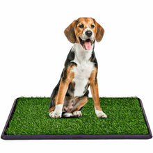 Load image into Gallery viewer, Utility Puppy Pet Potty Train Pee Dog Grass Pad

