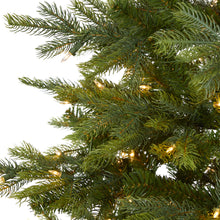 Load image into Gallery viewer, 7' North Carolina Spruce Artificial Christmas Tree w 450 Clear Lights
