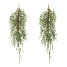 Load image into Gallery viewer, Foliage Twig Swag (Set of 2)

