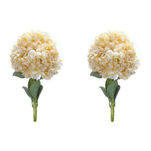 Load image into Gallery viewer, Hydrangea Bush (Set of 2)
