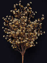 Load image into Gallery viewer, Star Flower Berry Bush - Earthtone
