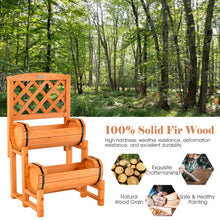 Load image into Gallery viewer, 2-Tier Raised Garden Bed with 2 Cylindrical Planter Boxes and Trellis-Orange
