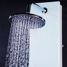 Load image into Gallery viewer, 47" Tempered Glass Shower Panel
