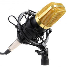 Load image into Gallery viewer, Professional Audio Condenser Microphone w/ Shock Mount
