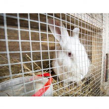 Load image into Gallery viewer, 36" x 50' 1/2 inch Wire Fence Cage Roll 19 Gauge Galvanized Wire
