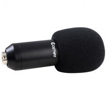 Load image into Gallery viewer, Professional Audio Condenser Microphone w/ Shock Mount
