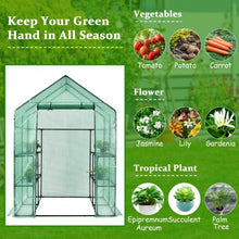 Load image into Gallery viewer, Walk-in Greenhouse 56'' x 56'' x 77'' Gardening with Observation Windows
