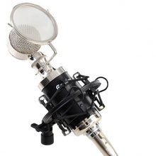 Load image into Gallery viewer, Professional Studio Recording Condenser Microphone w/ Shock Mount
