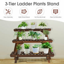 Load image into Gallery viewer, 3 Tier Step Design Plant Shelf Rack
