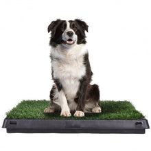 Load image into Gallery viewer, 25" x 20" Puppy Potty Training Toilet Turf Mat
