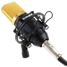 Load image into Gallery viewer, Professional Audio Condenser Microphone w/ Shock Mount
