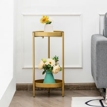 Load image into Gallery viewer, 2 Tier Mid Century Modern Metal Plant Stand-Golden
